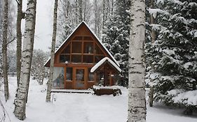 Holiday Home Bērzlejas