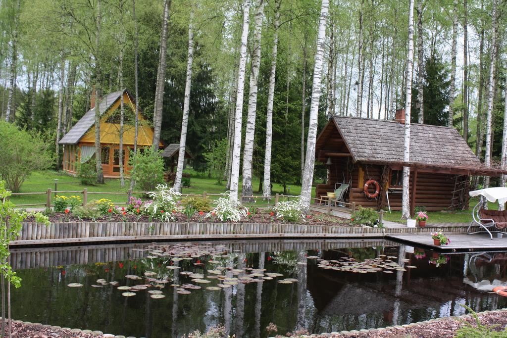 Holiday Home Bērzlejas Upesgriva Zewnętrze zdjęcie